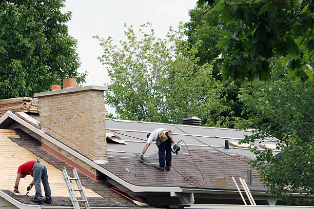 Best Best Roofing Contractors  in Newcastle, WA