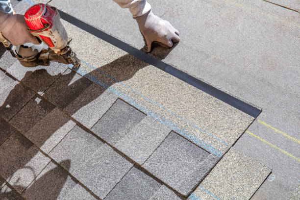 Best Roof Gutter Cleaning  in Newcastle, WA